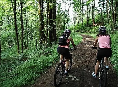 4 Evszak Erdeihotel**** -